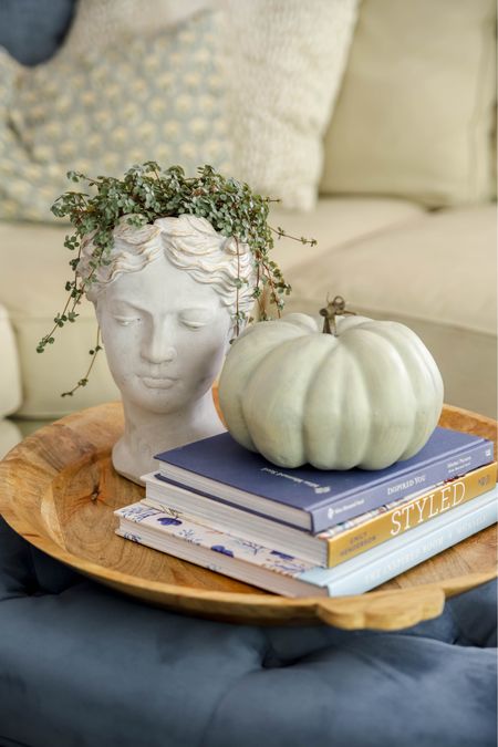 The bust planter with maidenhair fern is perfect for my fall coffee table decor. Add a pumpkin and it’s perfect for the season!

#LTKfindsunder50 #LTKSeasonal #LTKhome