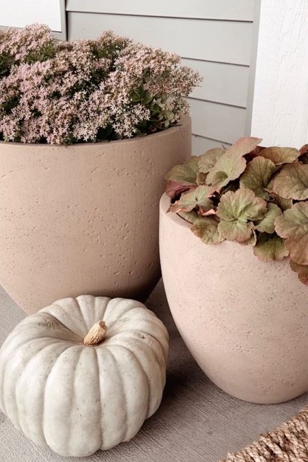 Front porch for Fall. Keeping it simple with one heirloom pumpkin that I got at Home Depot. The planters are from Lowe’s and I love them!! They are lightweight resin but look like stone. Such a pretty color! 

#LTKhome #LTKSeasonal
