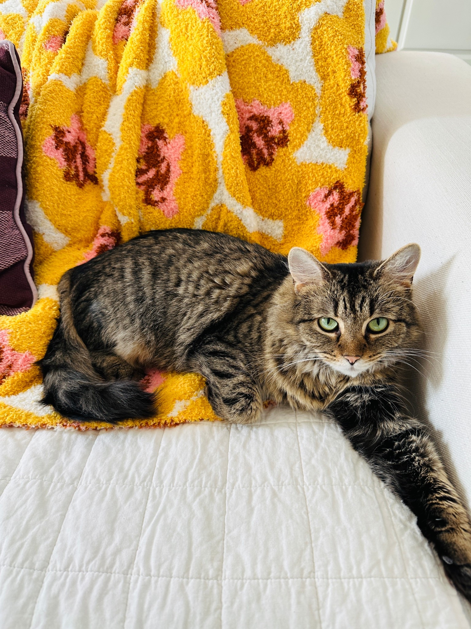 Colorful throw blankets for spring 🌸🌷🦋🪻🌻