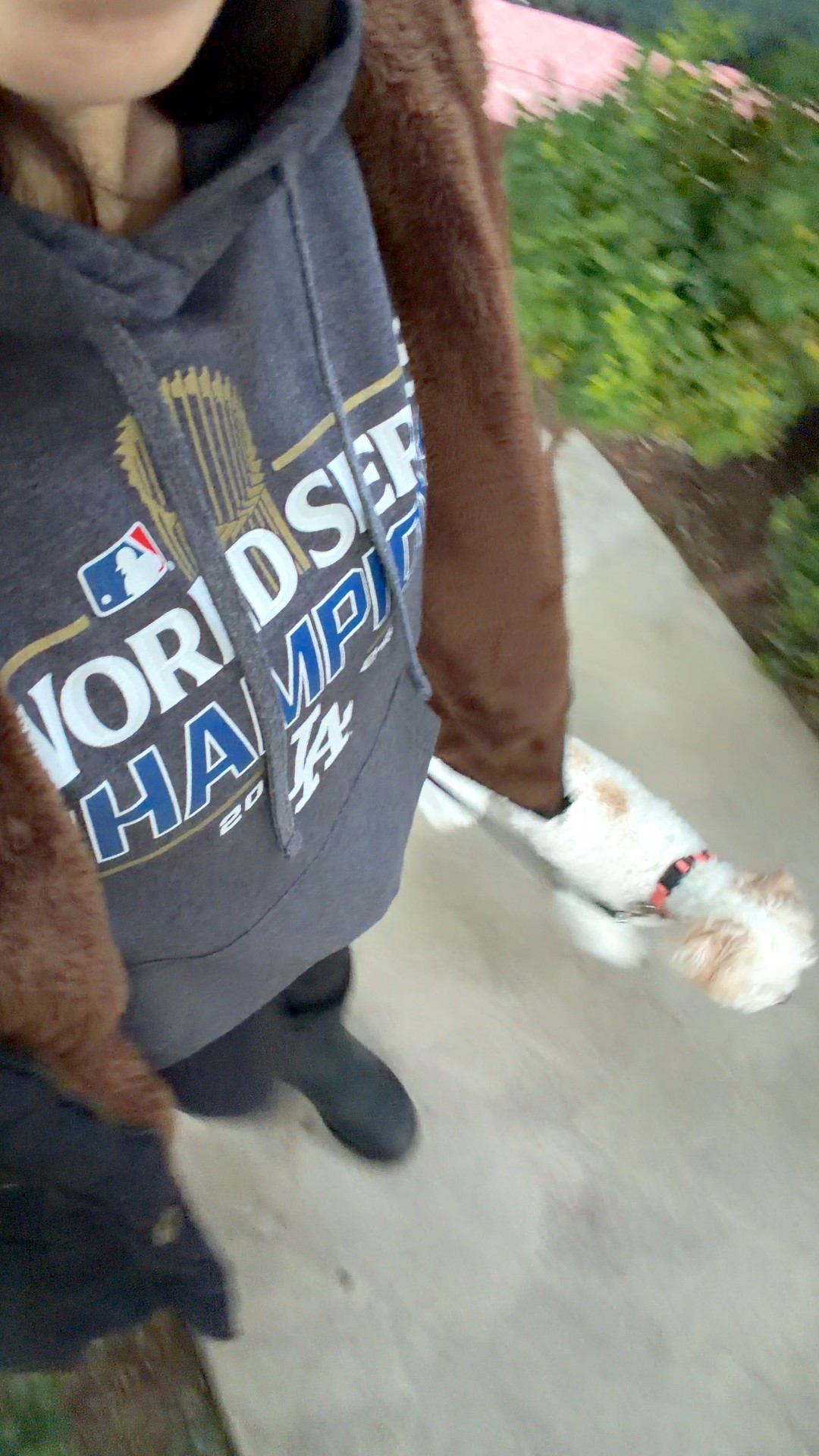 That early morning walk with your dog is a looker 😂 it’s so cold and just waking up I’m usually freezing so it’s about the only time I wear a warm heavy duty coat while my dog does 100 spins.

#dogmom #furbaby


#LTKootd #LTKmomlife #LTKmorningroutine