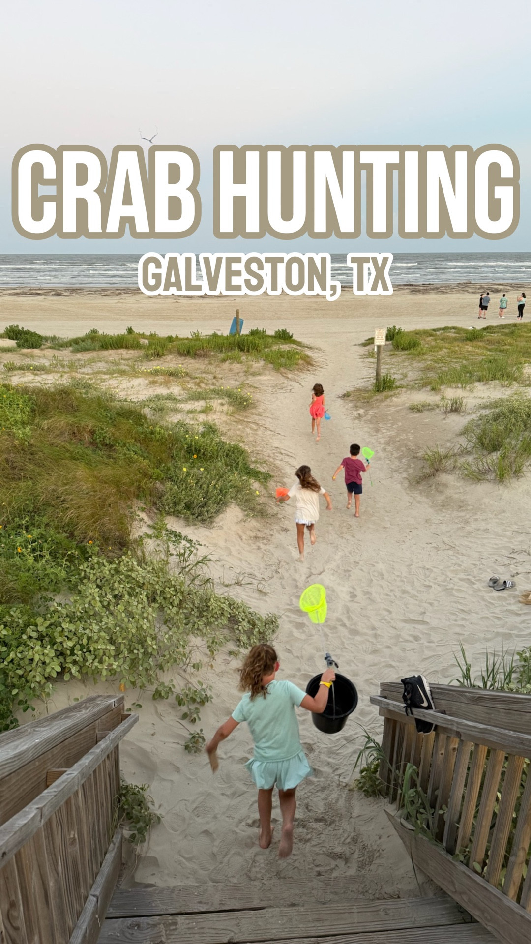 GOOD. CLEAN. FUN.

Crab hunting with my fam and our friends in Galveston this summer was probably one of my 2025 highlight this year 🙌🏼

It was constant giggling, screeching and excitement. Good for ages 3 to honestly 90. Bonus points for bringing a speaker down to the beach to jam out to 🎵

Marcus bought nets and flashlights and zip tied them together for the kids. They were perfect for spotting the crabs and also keeping an eye on our kids on the dark beach. 

The crabs come out right after sundown. *Most* of the crabs got out unscathed.