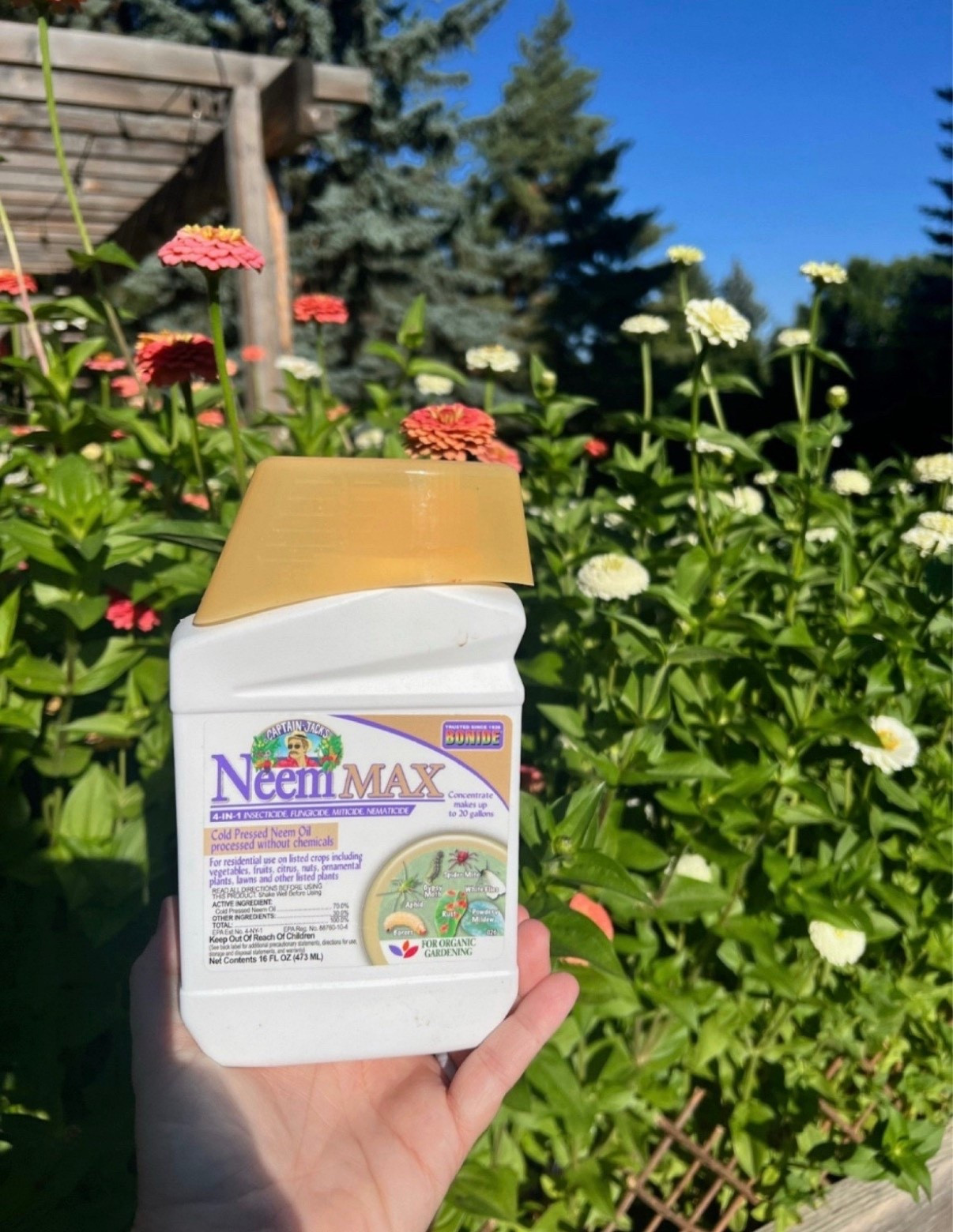 Neem oil is one of those garden staples I always keep on hand 🌿 It’s a simple, natural way to help with pests and plant issues without using anything harsh. Easy to use and really helpful once the garden gets going!

#LTKSeasonal #LTKFindsUnder100 #LTKFindsUnder50
