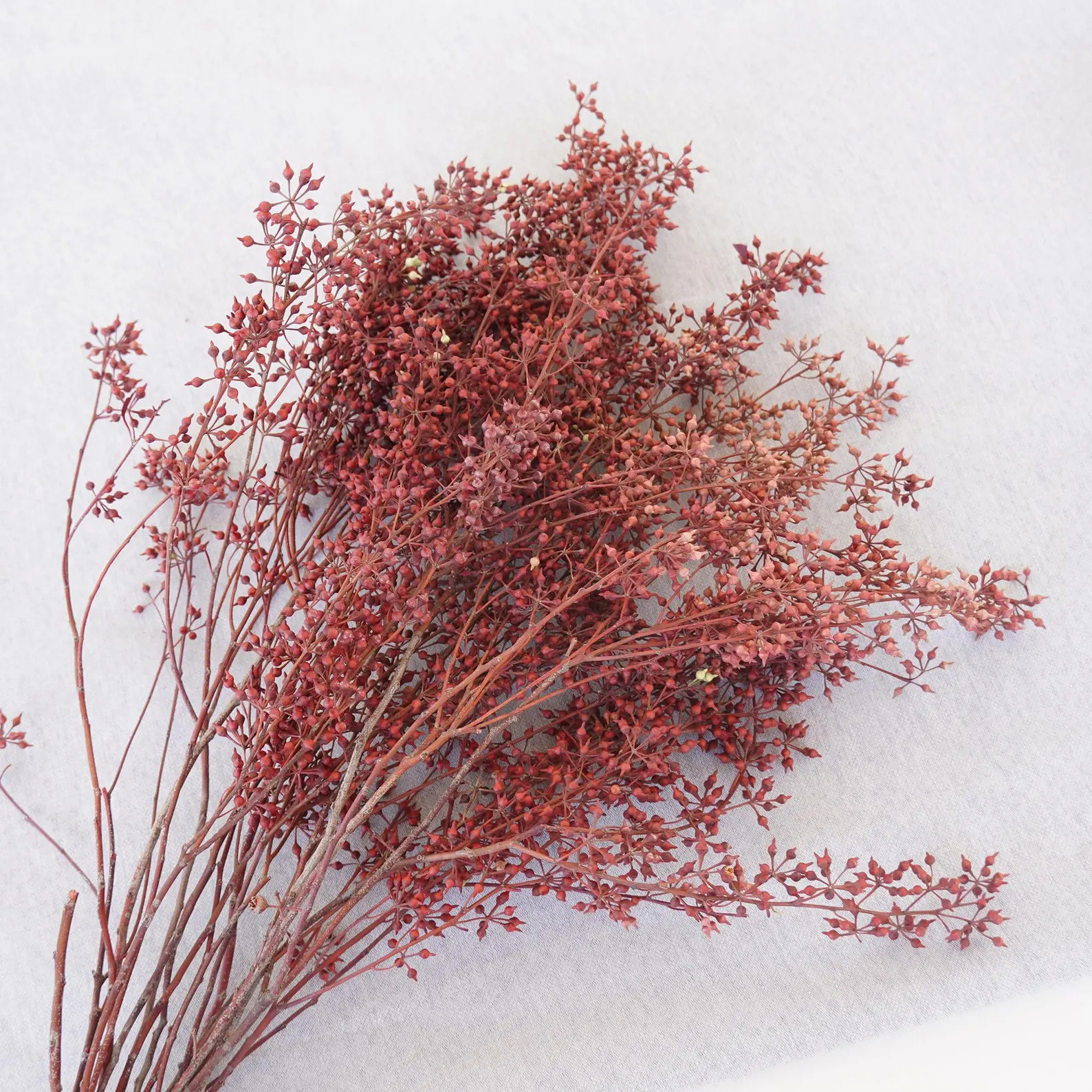 Preserved Red Eucalyptus Bouquet: Natural Dried Flower Arrangement | Etsy (US)