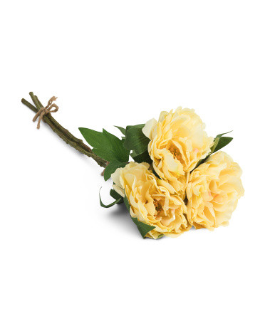 Set Of 3 Peony Stems | TJ Maxx