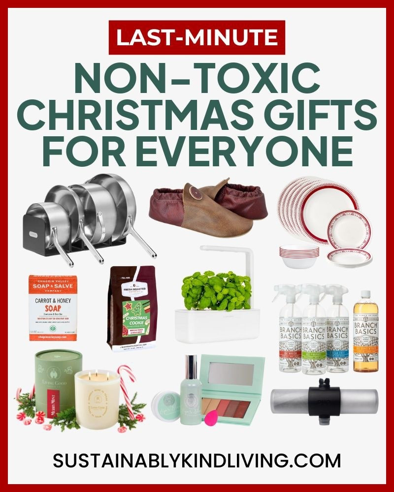 Make Christmas healthier with non-toxic, sustainable gifts your whole family will appreciate. 

These clean, vetted picks are safer for your home and better for the planet.

#LTKGiftGuide #LTKHoliday