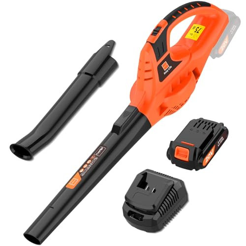Leisch Life 21V Leaf Blower Cordless | Handheld Electric Lightweight Blower with 2.0Ah Rechargeable Battery & Fast Charger | Adjustable Speeds, Portable Design for Lawn, Patio, Yard, Sidewalk Cleaning | Amazon (US)