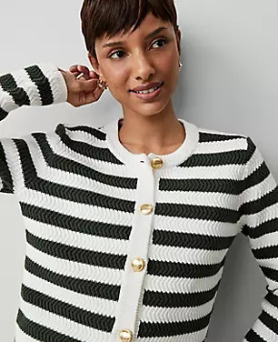 Weekend Striped Stitched Jacket | Ann Taylor (US)