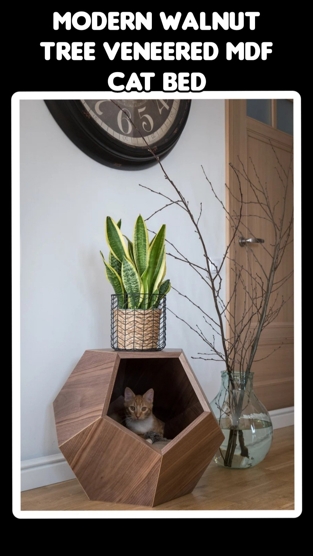 Modern walnut tree veneered mdf cat bed Cat cave premium Designer cat bed Wooden pet furniture Geometric side table

#LTKPets #LTKFindsUnder100 #LTKSpringSale
