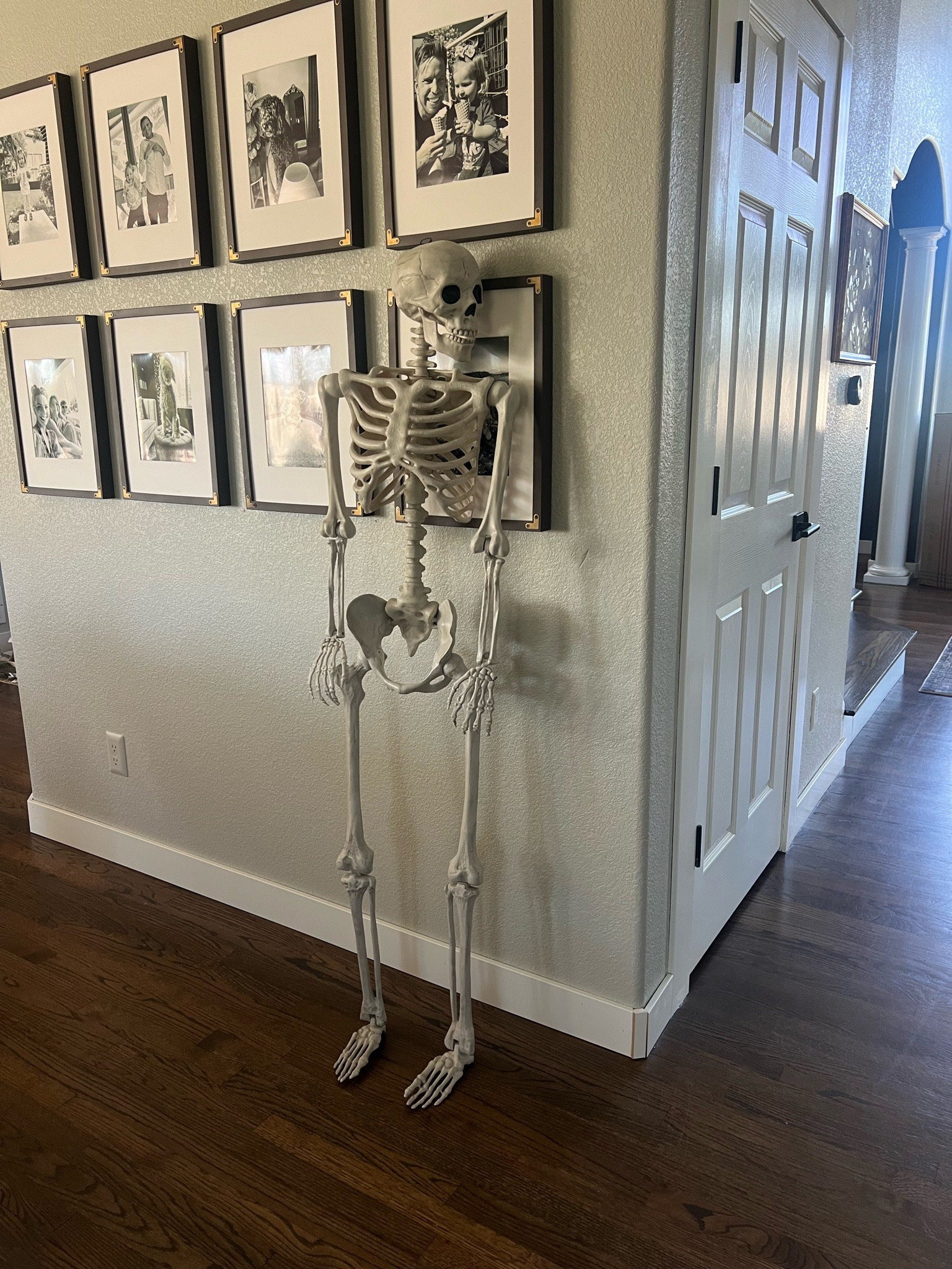 5ft tall skeleton from target! 

#LTKHome #LTKFindsUnder50 #LTKSeasonal