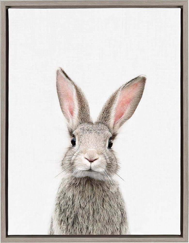 Kate and Laurel Sylvie Female Baby Bunny Rabbit Animal Print Portrait Framed Canvas Wall Art by A... | Amazon (US)