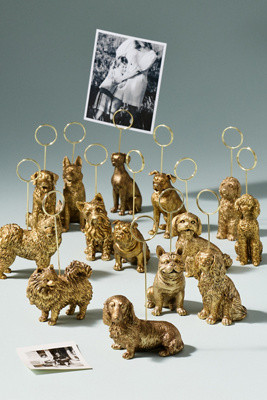 The Animal Icon Photo Holder: Dog Edition | Anthropologie (US)