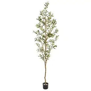 Ivy Terrace 82-inch Olive Tree | Bed Bath & Beyond