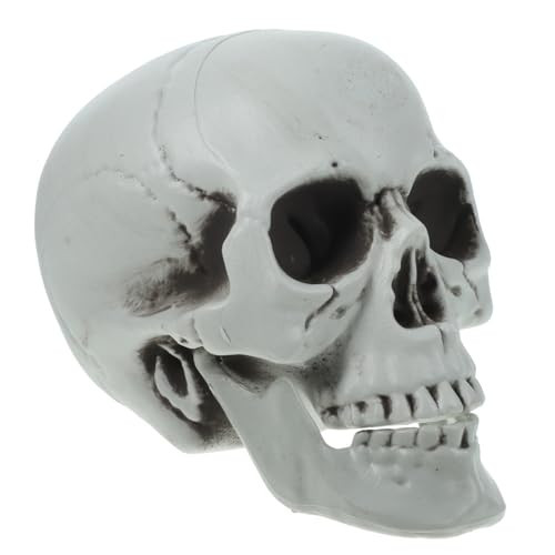 MAGICLULU Table Top Skeleton Skull Head Model Life Size for Halloween Decor 8.6 x 6.2 Inch | Amazon (US)