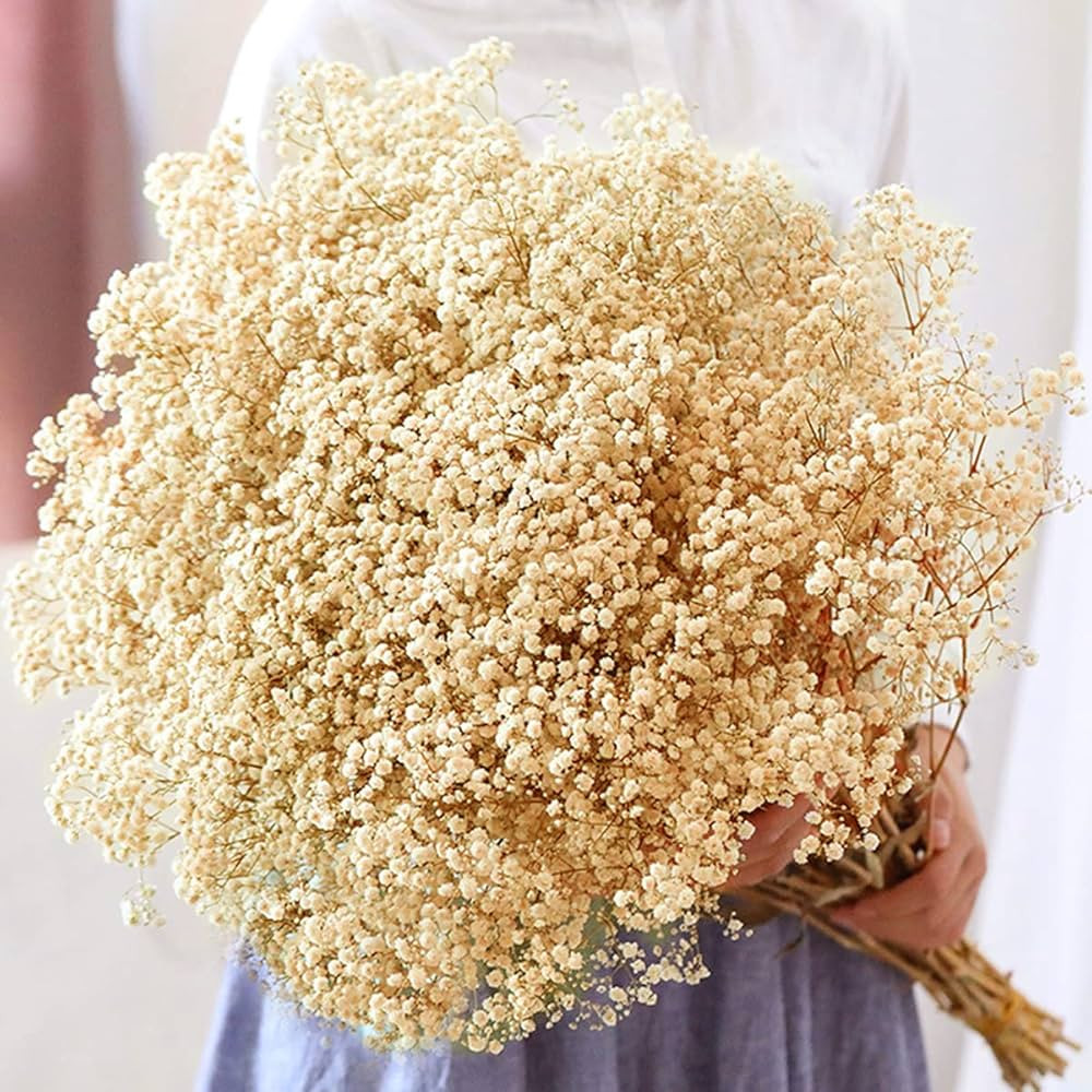 beerfingo Dried-Babys-Breath-Flowers-Bouquet-17 inch 5000+ Ivory White Flowers, Natural Gypsophil... | Amazon (US)