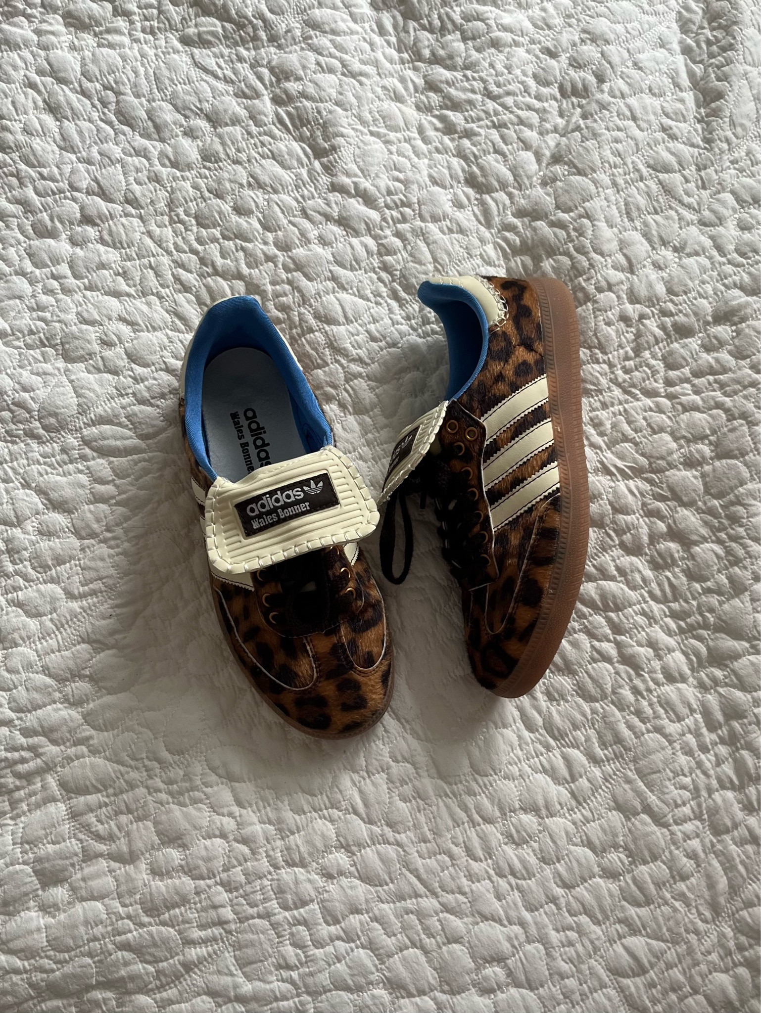 wales bonner leopard print sambas #adidas #walesbonner #sambas #adidasshoes #coquette #leopardprint



#LTKSpringSale #LTKVideo #LTKSeasonal