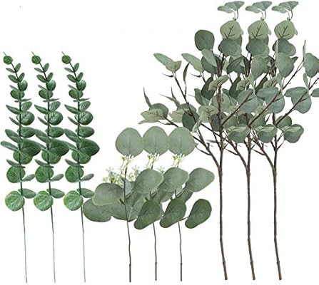 M.D’S Eucalyptus Leaves, 9 Pieces Multipack of Eucalyptus Stems, 3 Different Designs Greenery, ... | Amazon (US)