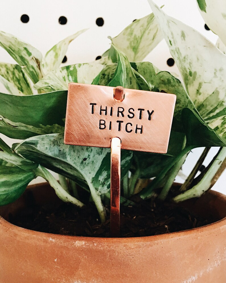 Thirsty Bitch Copper Plant Marker // Indoor Plant Stake  Herb | Etsy | Etsy (US)