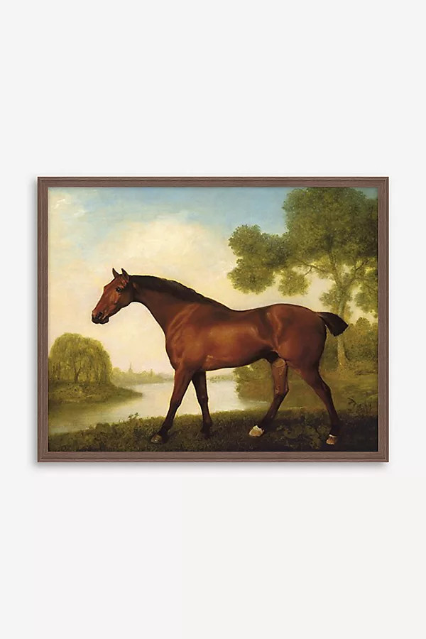 Truss, A Hunter by George Stubbs Wall Art | Anthropologie (US)