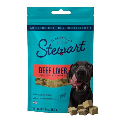 Stewart Freeze Dried Dog Treats, 100% Beef Liver, 2 oz Pouch | Amazon (US)