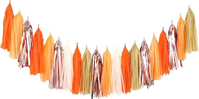 Fonder Mols Tissue Paper Tassel Garlands DIY Kit, Tassel Banner, Thanksgiving Decor, Rustic Littl... | Amazon (US)