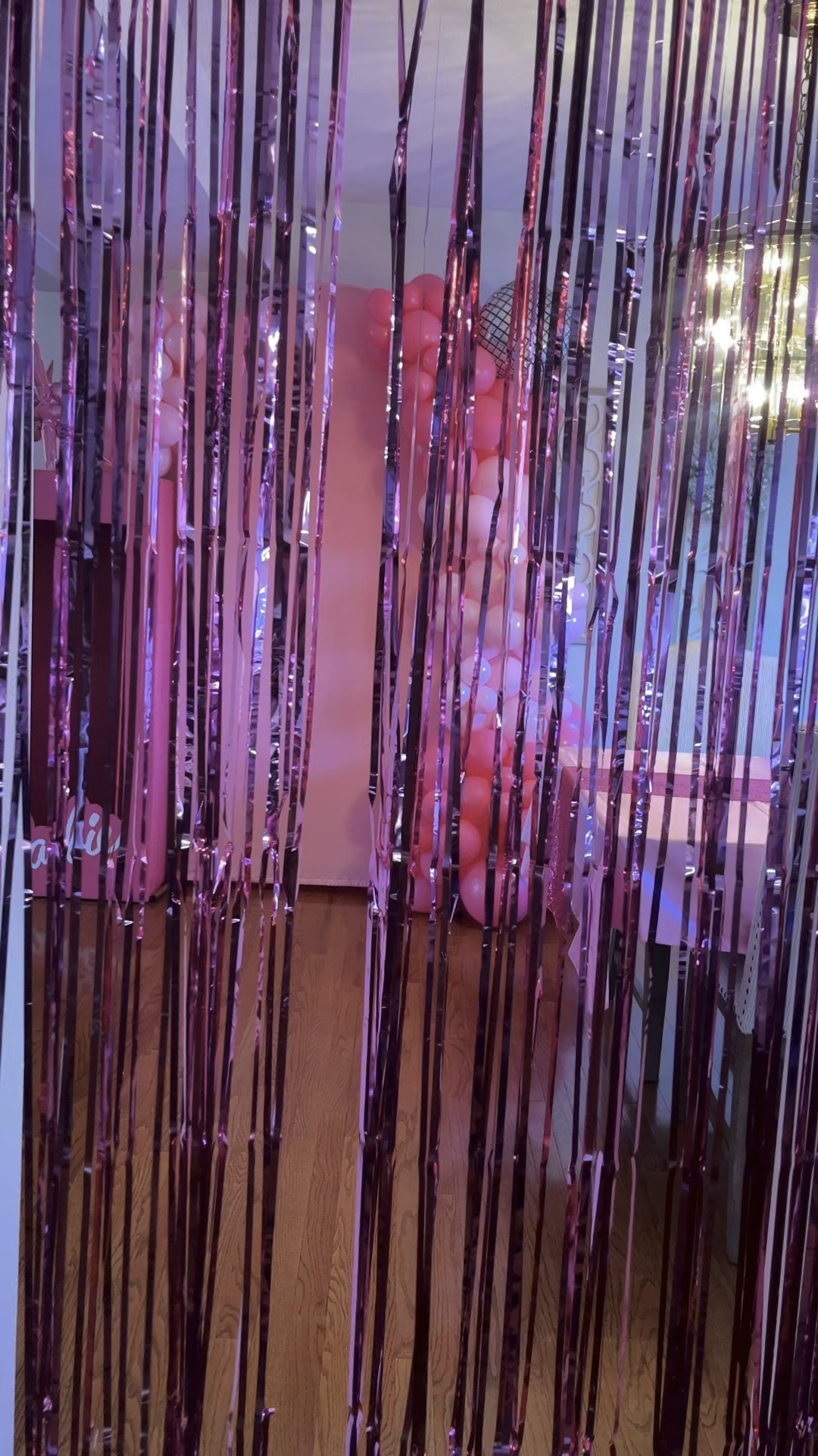 Barbie Party Decorations | Girl Birthday Party | Pink Party Decor | Barbie Hot Pink

#LTKhome #LTKparties #LTKkids