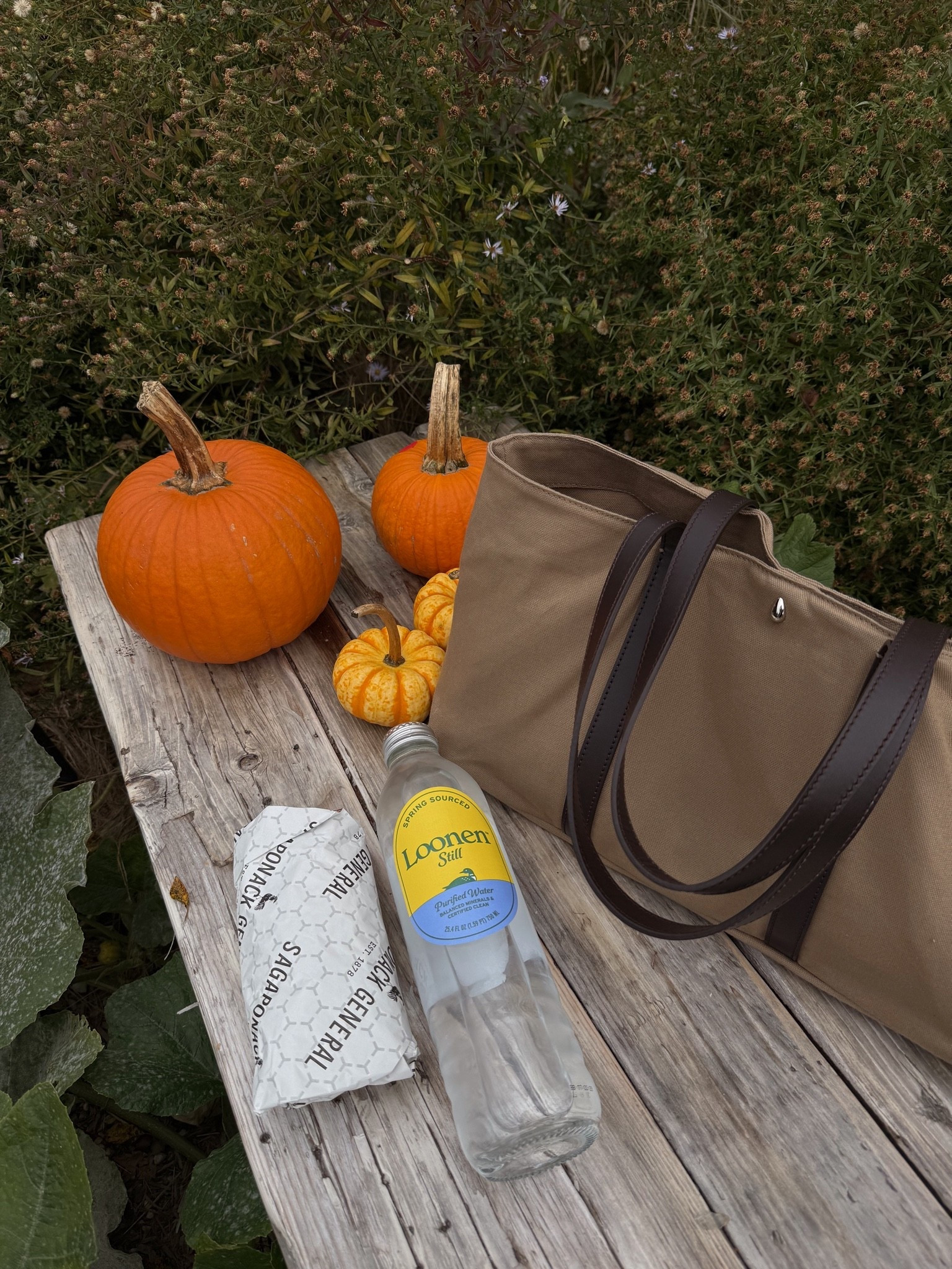loving this bag! fits & matches everything