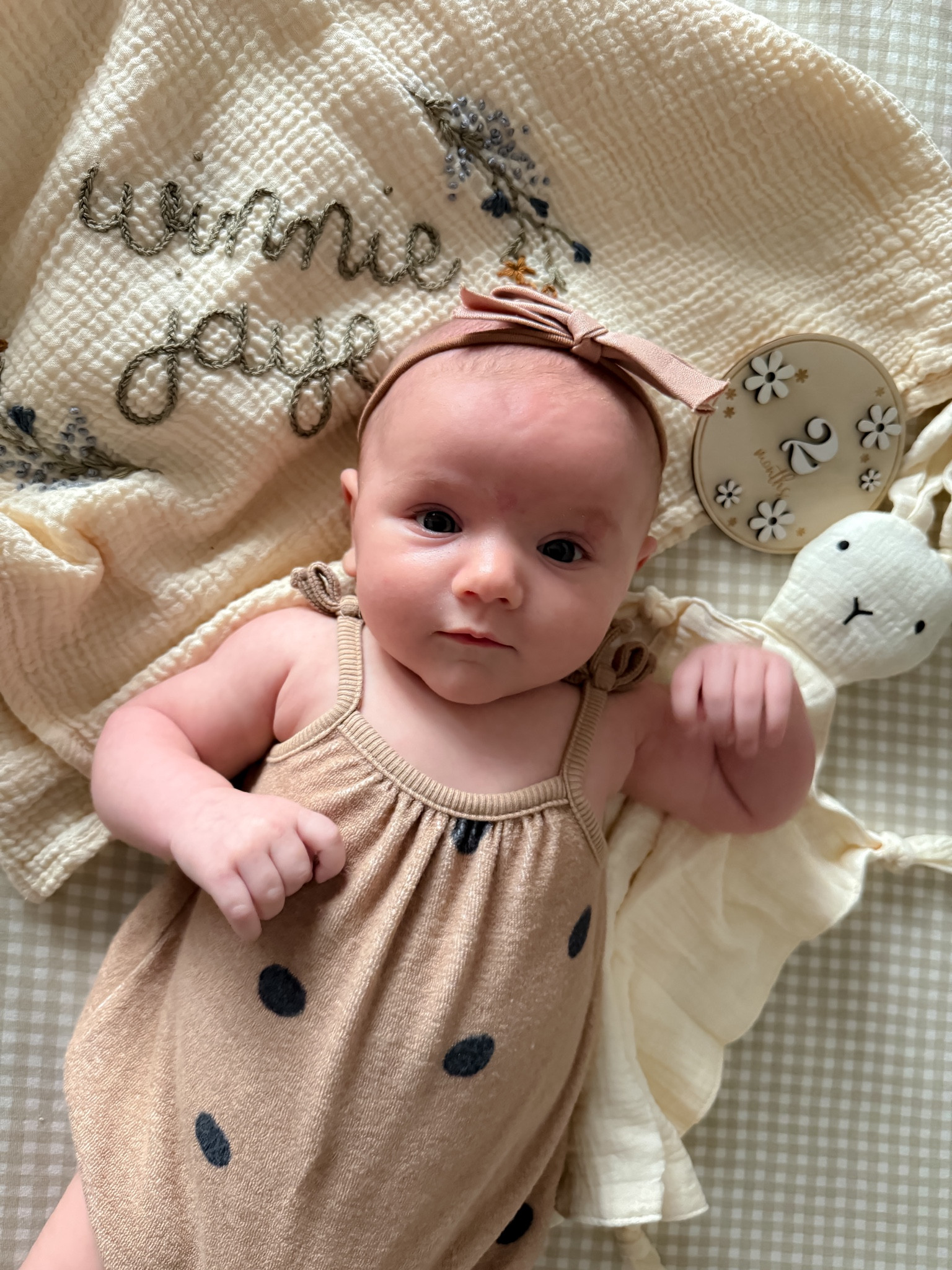 Aesthetic baby must haves! I absolutely adore this personalized embroidered blanket and these milestone markers are adorable!

#LTKKids #LTKBump #LTKBaby