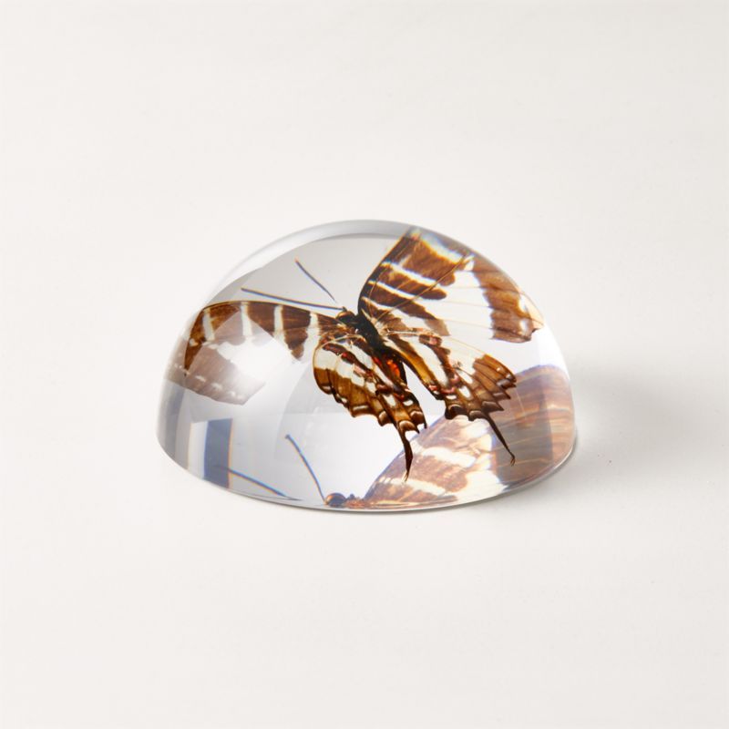 Volare Paperweight + Reviews | CB2 | CB2