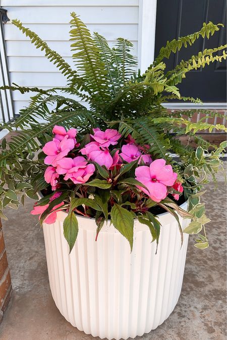 Flower pot front porch planter home inspiration 

#LTKhome