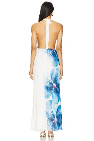 Jasmina Maxi Dress | Revolve Clothing (Global)