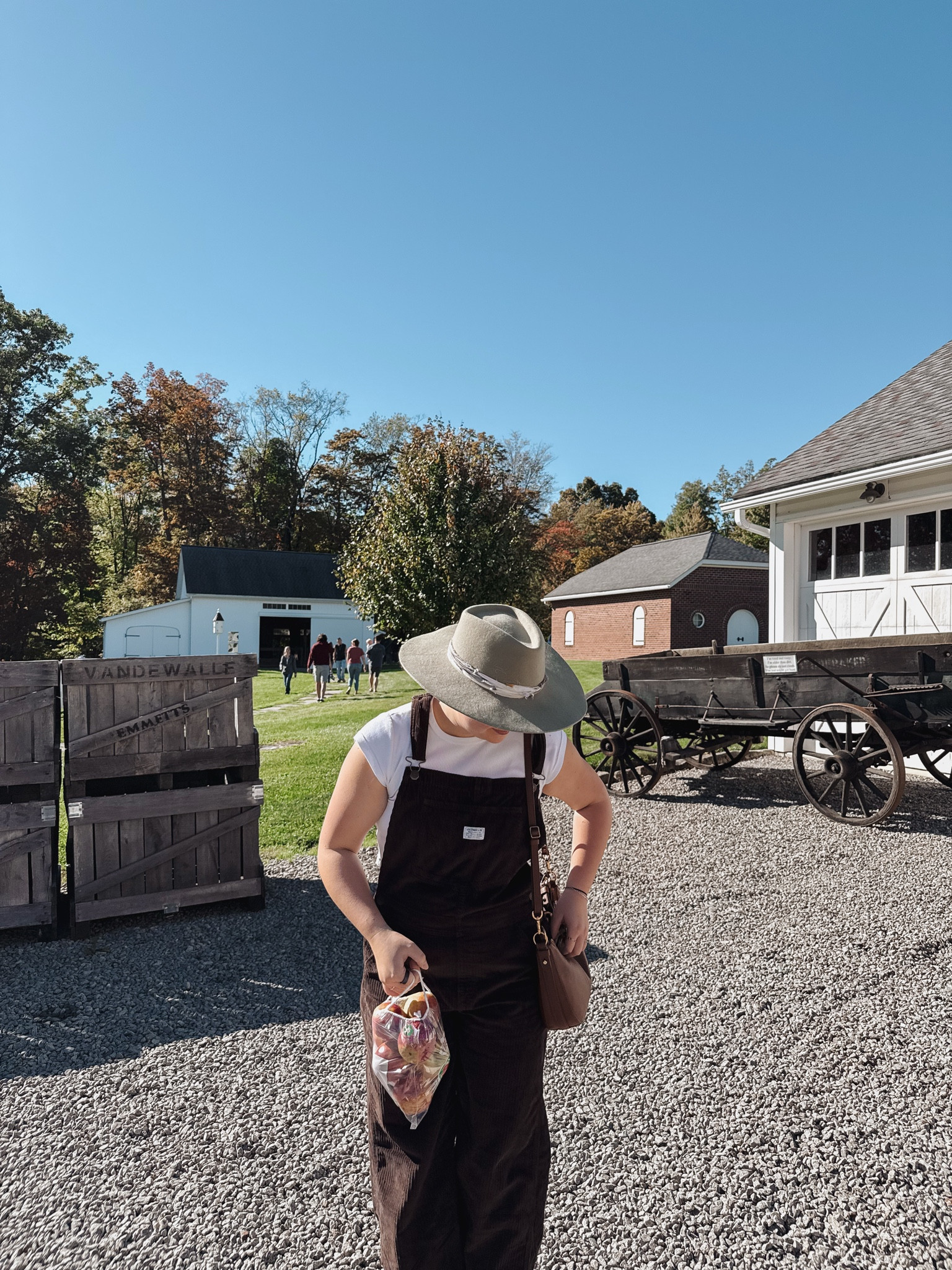 Apple orchard day 🍎