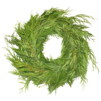 20-ft Fresh Cedar Christmas Garland | Lowe's