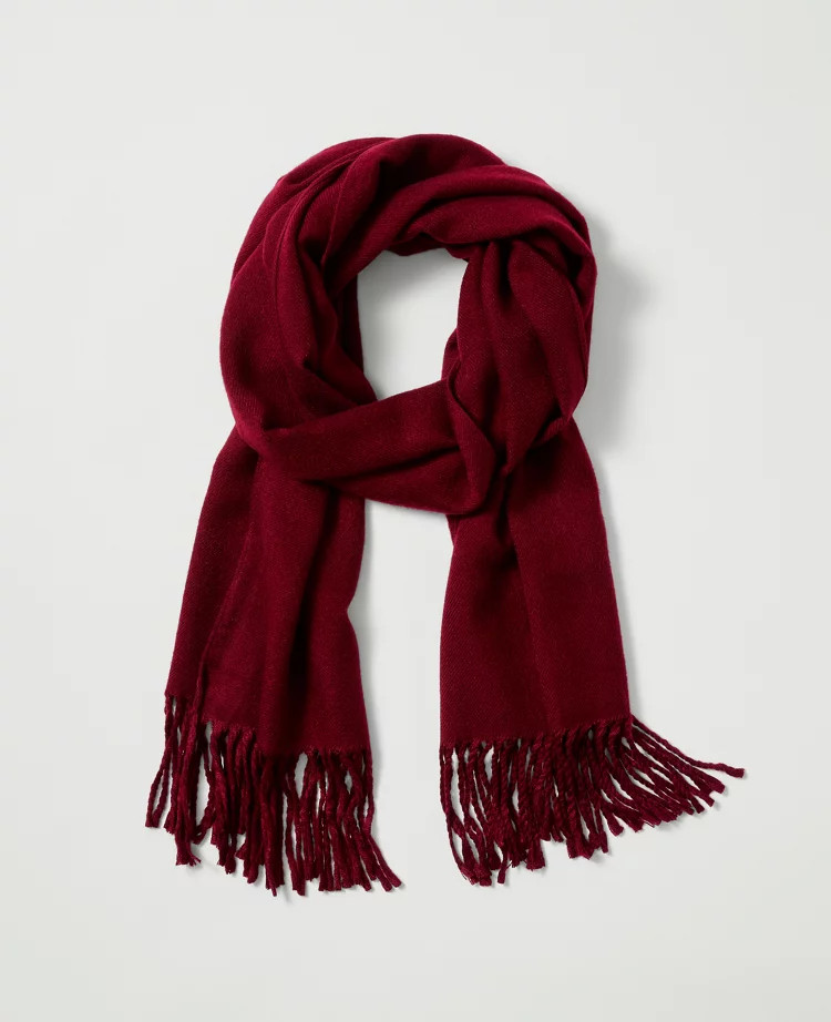 Weekend Collection Fringe Scarf | Ann Taylor