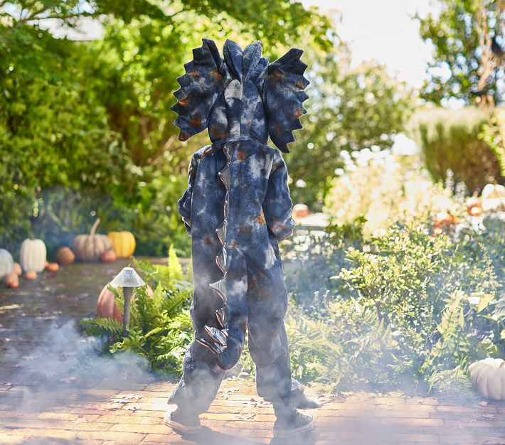 Pottery Barn Kids | Pottery Barn Kids