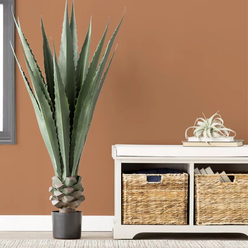 Giant Agave Plant in Planter | Wayfair North America