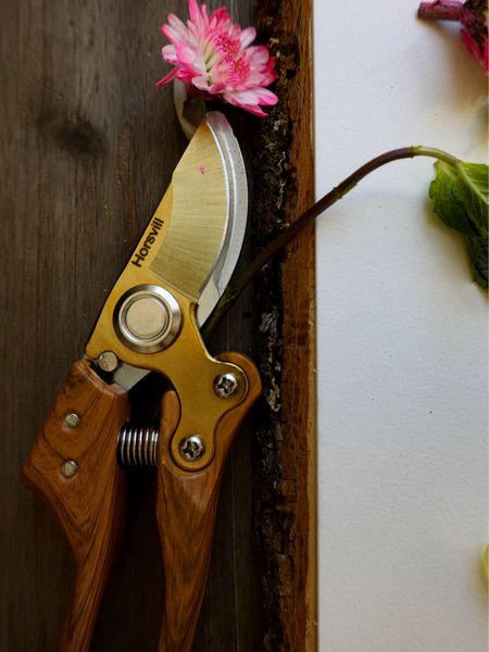 Amazon gardening shears. - spring gardening gadgets  

#LTKhome #LTKSeasonal #LTKGiftGuide