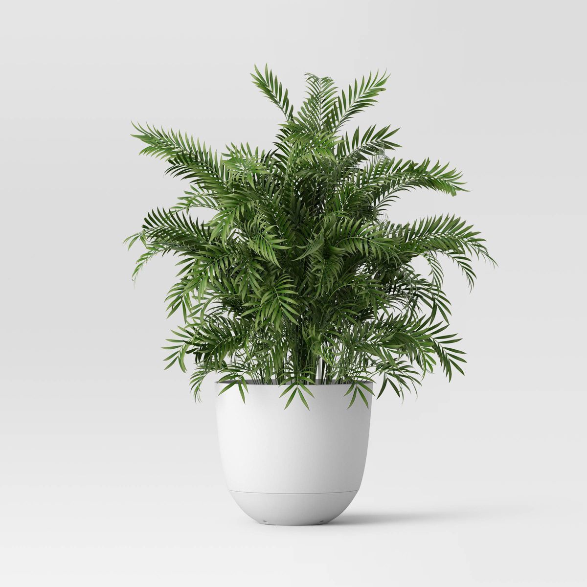 Self-Watering Plastic Indoor Outdoor Planter Pot White 12"x12" - Room Essentials™ | Target