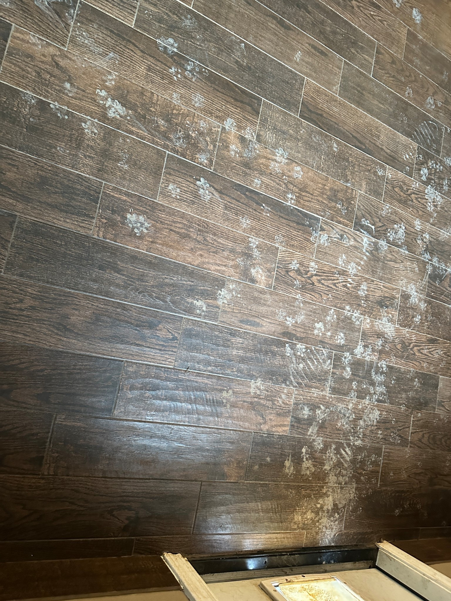 If you have pets, and you live in south Texas, this is the crime scene by your dog door right now, with more rain on the way. Did you know that your brain works more calmly and efficiently when your environment is clean and organized? Clutter, a messy environment and unfinished tasks can increase your stress hormones. So, take a deep breath and just get down to it! 

I’m tagging the Bissell wet vac for you to check out bc it’s a lifesaver if you have kids and/or pets! Invest in your own wellbeing and peace! 🐾 #bissell 



#LTKmomlife