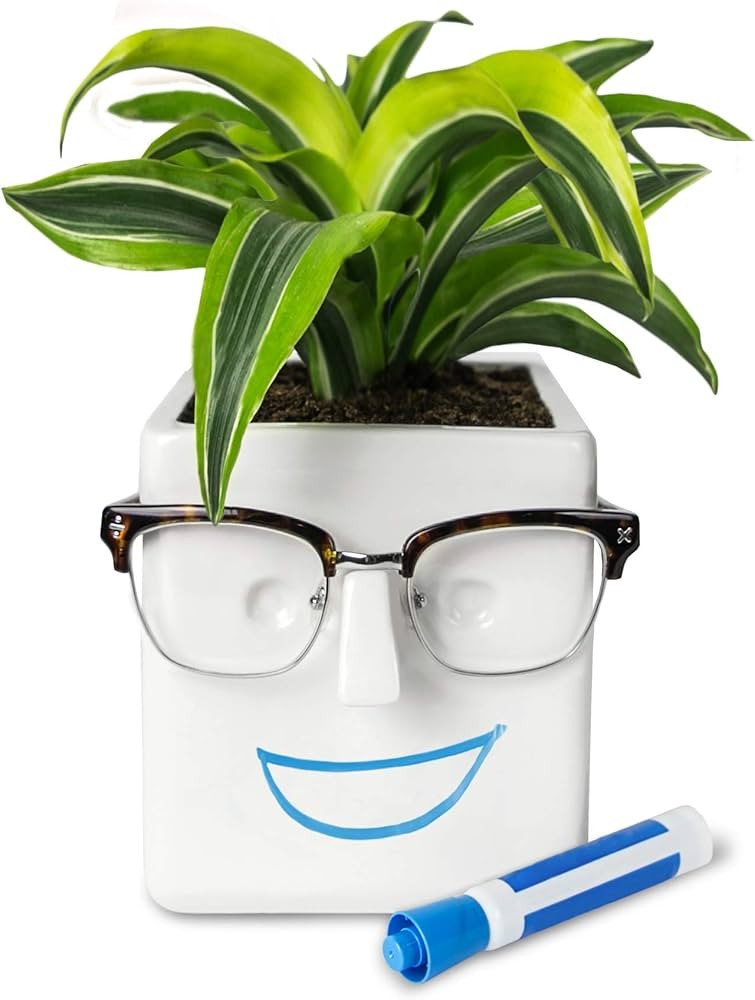 30 Watt Face Plant, Novelty Planter Holds Small Plants, Glasses & You Can Draw on It. Elegant Cer... | Amazon (US)