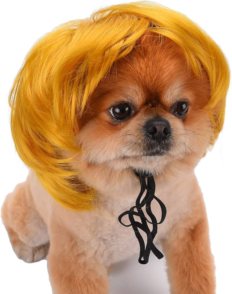 Funny Dog Cat Cosplay Wig, Headwear Apparel Toy, Pet Costumes, Cat Dress up for Halloween, Christ... | Amazon (US)