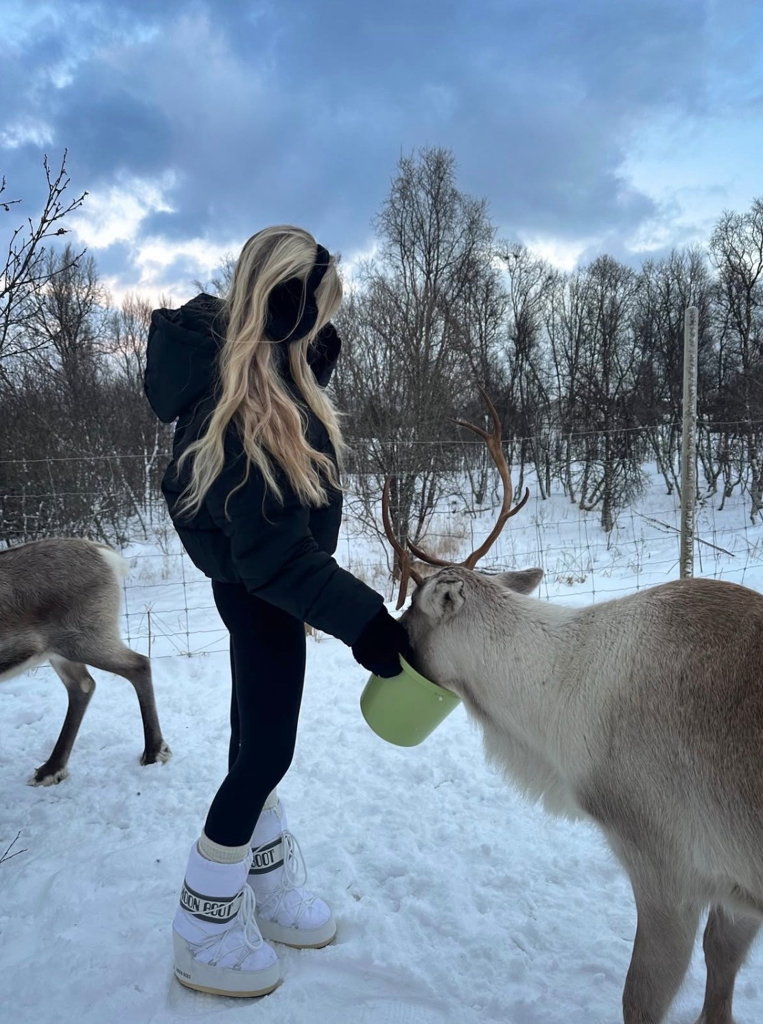 Winter outfit
Snow outfit
Black thermal set
Thermal set
White moon boots
Moon boots outfit
Winter fashion 
Black faux fur mitten 
Black faux fur earmuffs
Winter outfit inspo

#LTKTravel #LTKSeasonal #LTKootd