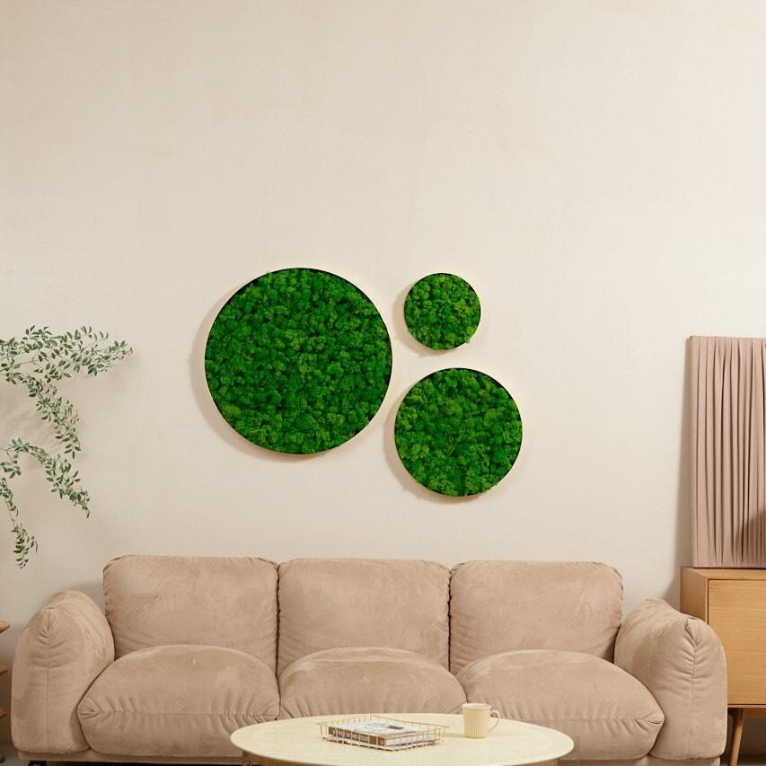 Round Framed Moss Wall Decor 3pcs | Bed Bath & Beyond