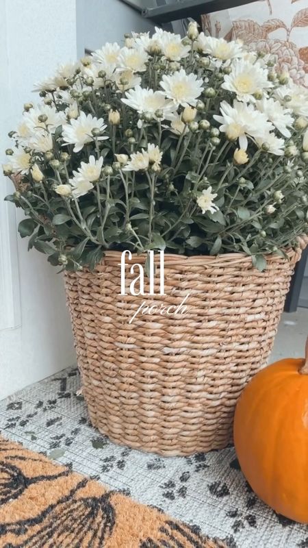 Fall front porch decor, fall porch with cinderella pumpkins, seagrass baskets for mums, layered doormats, cozy fall decor

#LTKSeasonal #LTKHalloween #LTKhome