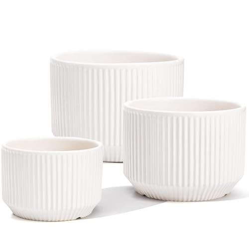 Youeon Set of 3 White Ceramic Planter 8/6.5/5.1 Inch Vertical Striped Plant Pots Ceramic Flower Pots with Drainage Holes Cylinder Planter Pots for Succulents, Flowers, and Cactus | Amazon (US)
