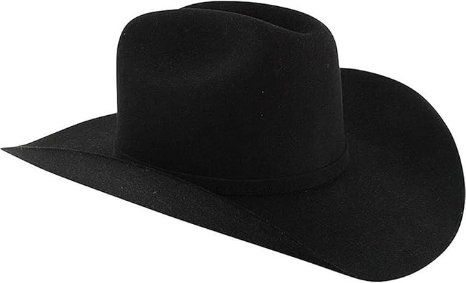 Stetson Men's Apache 4X Felt Cowboy Hat | Amazon (US)