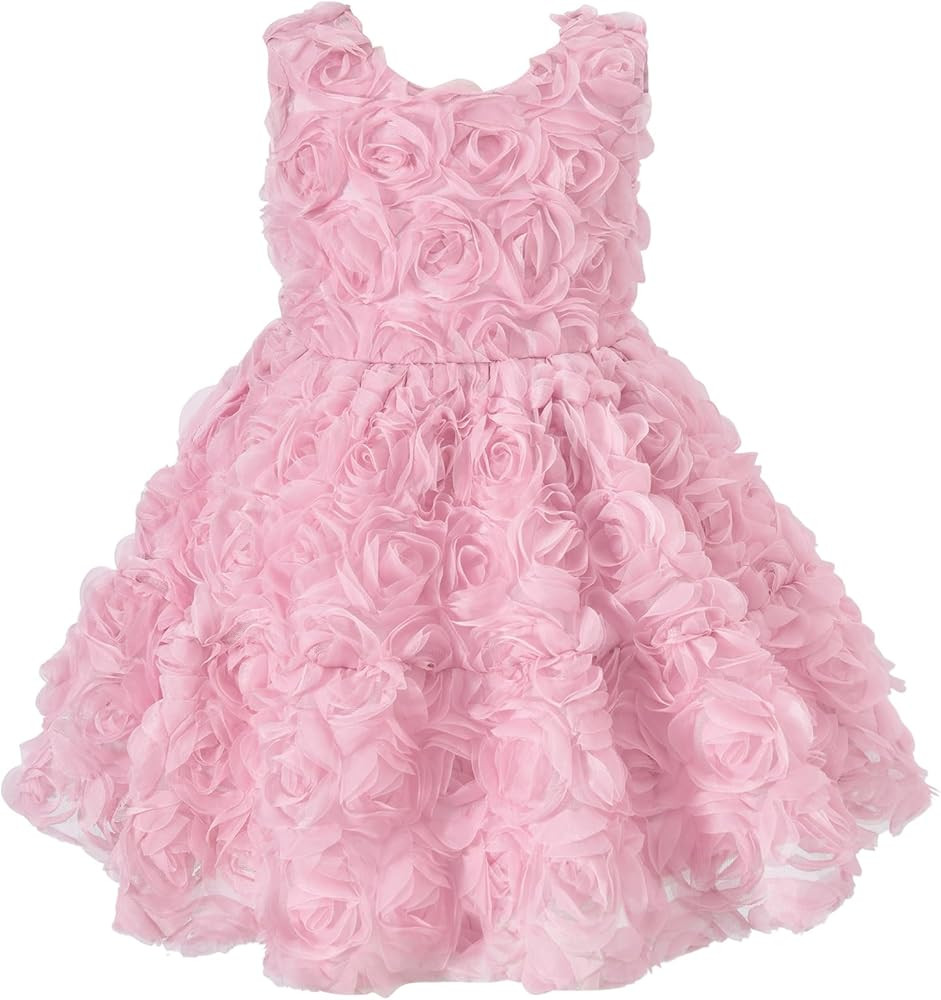 Toddler and Little Girls with 3D Floral Embroidery Flower Girl Dresses 2-7 Years | Amazon (US)