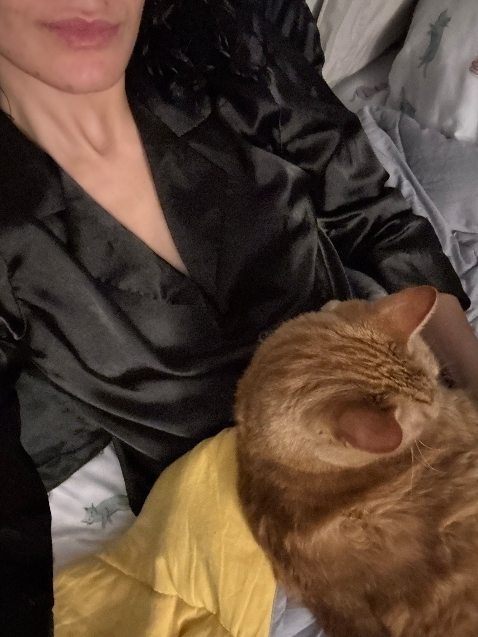 Cozy cuddles in one of my favorite pajama sets! These are so cute & pretty affordable- linked several other styles for your preference too! #pajamaset #womenspjs #silk #satin 

#LTKselfcare #LTKmorningroutine #LTKSpringSale