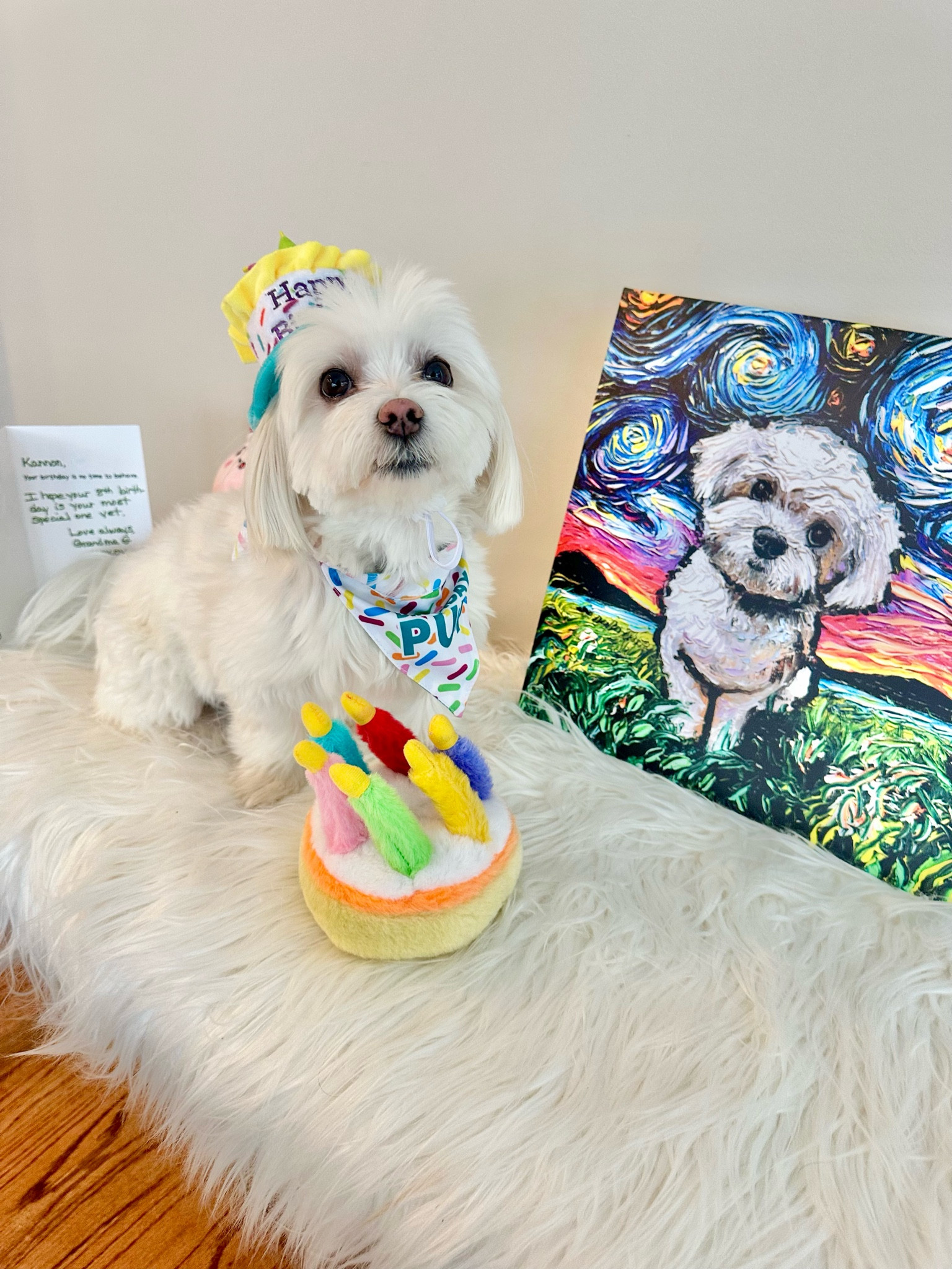 My birthday boy! 🎂