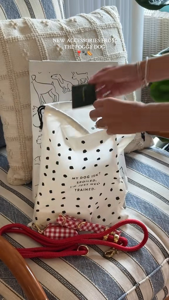 The Foggy Dog essentials! ♥️🦴

#LTKGiftGuide #LTKSeasonal #LTKPets