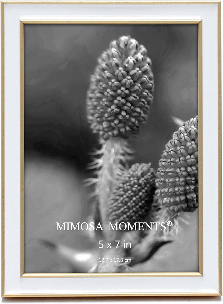 MIMOSA MOMENTS Brass Tone Picture Frame with Enamel (Brass/White, 5X7) | Amazon (US)